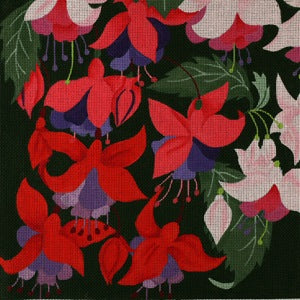 Giant Fuchsia