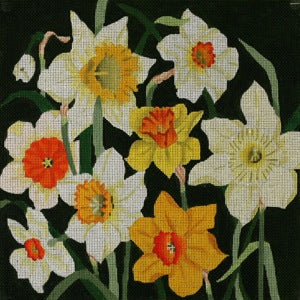 Giant Narcissus