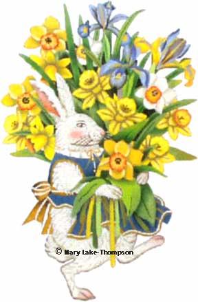 Spring Bunny