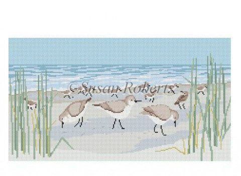 Sanderlings
