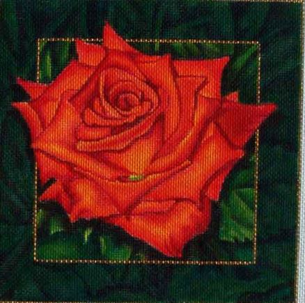 Orange Rose