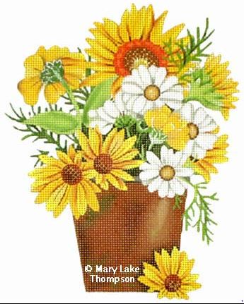 Daisies