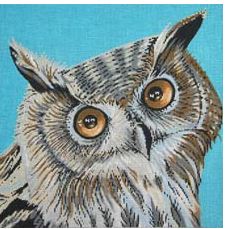 Owl On Blue