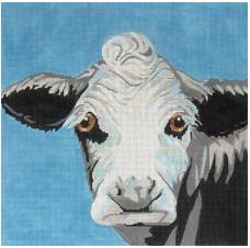 Cow On Blue