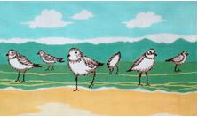 Sand Pipers