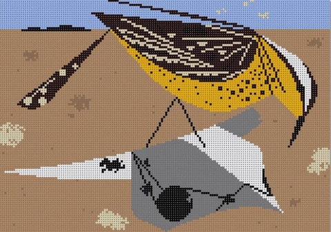 Cactus Wren