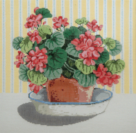 Geraniums