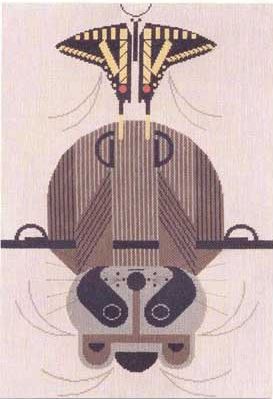 Raccrobat