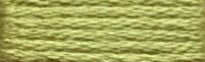 251A Leaf Green Range - Needlepoint Inc Silk Hank