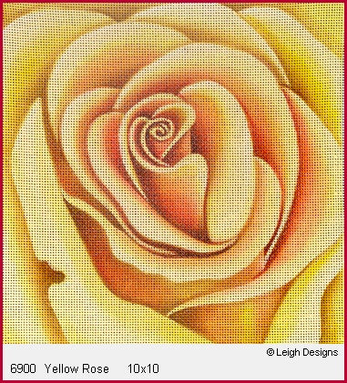 Yellow Rose