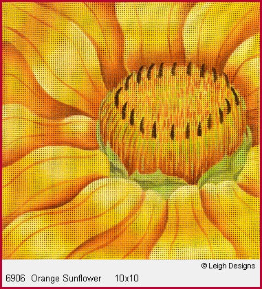 Orange Sunflower