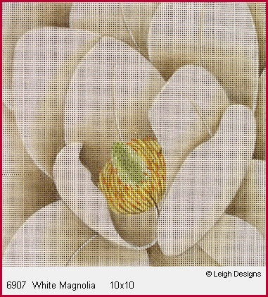 White Magnolia