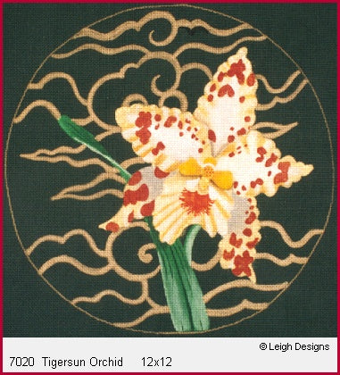 Tigersun Orchid