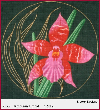 Hamburen Orchid