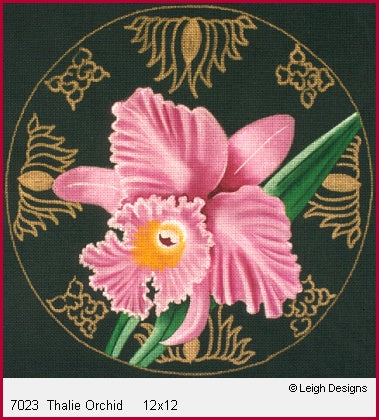Thalie Orchid