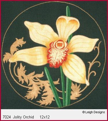 Jolity Orchid