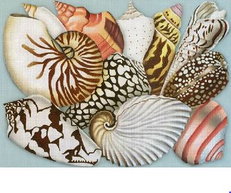 Shell Collage