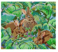 Bunnies