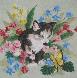 Kitten With Butterfly
