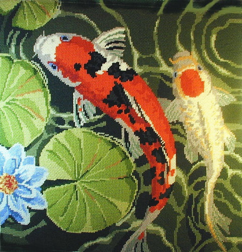 Koi (right)