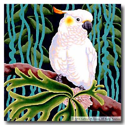 Sulphur Crested Cockatoo