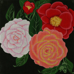 Giant Camellias