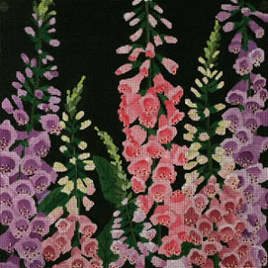 Giant Foxglove