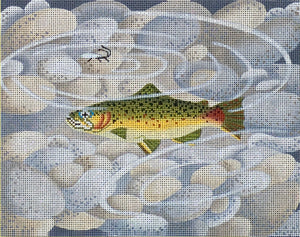 Small Brown Trout With Pebbles