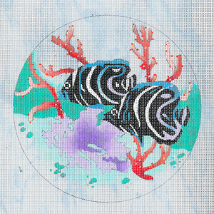 Porthole View - Emperors Angelfish