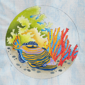 Porthole View - Triggerfish