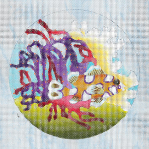 Porthole View - Harlequin Fish