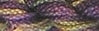 Caron Watercolors - CWC-294 Black Iris