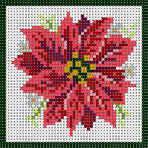 Poinsettia