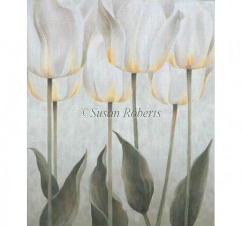 White Tulips - 13ct