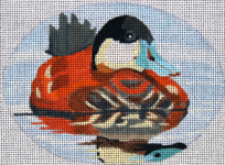 Ruddy Duck