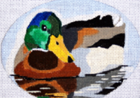 Mallard Duck