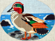 Teal Duck