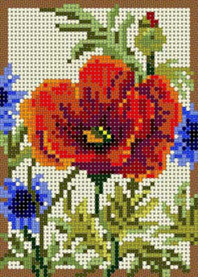 Summer Poppy
