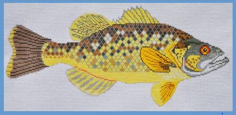 Bass