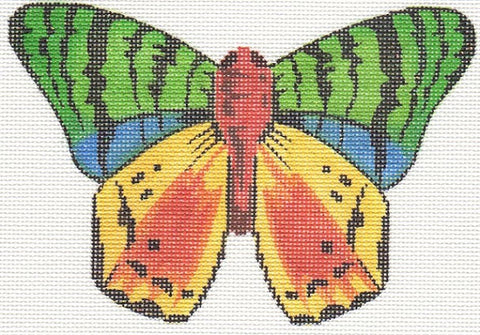 Multi Color Butterfly