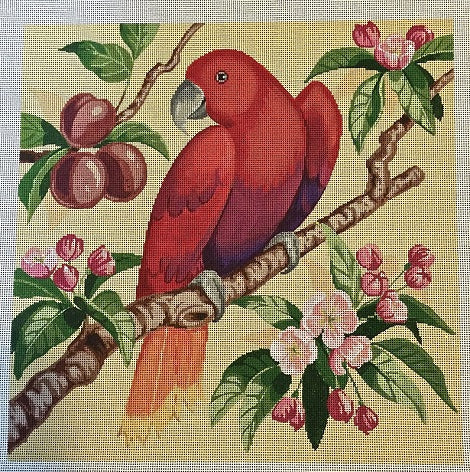 Red Parrot
