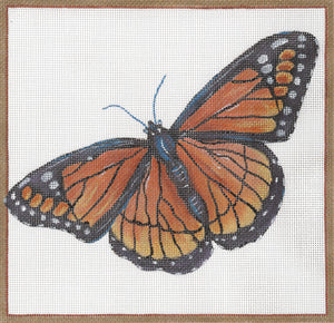 Viceroy Butterfly