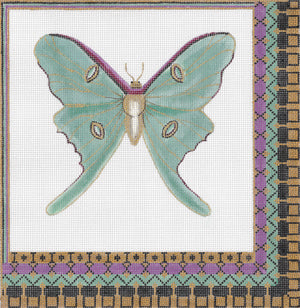Luna Moth