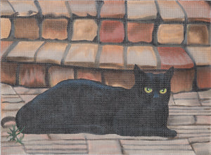 Vicky - Black Cat