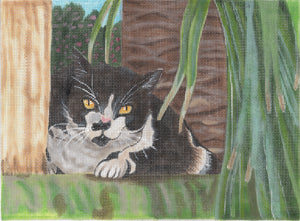 Walley Cat