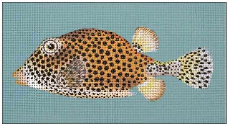 Spotted Fancy Fish