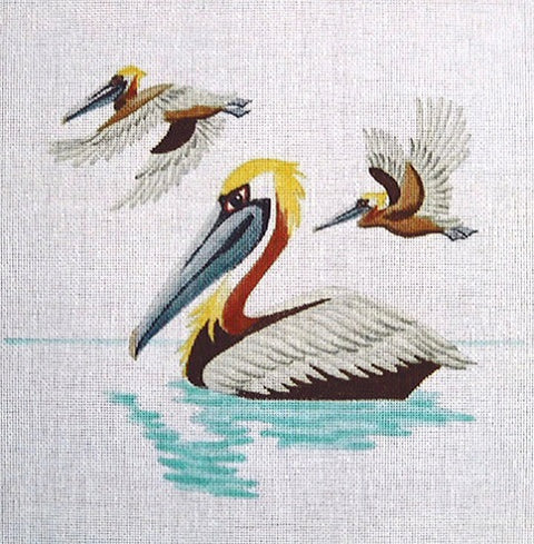 Three Pelicans