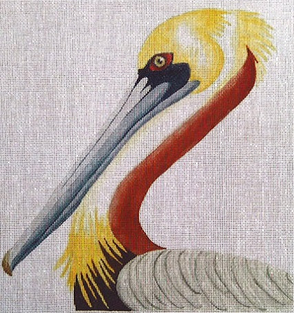 Pelican Portrait