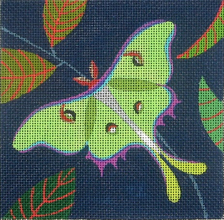 Luna Moth Square