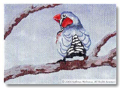 Details - Zebra Finch